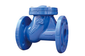 軌道球形止回閥HQ41X